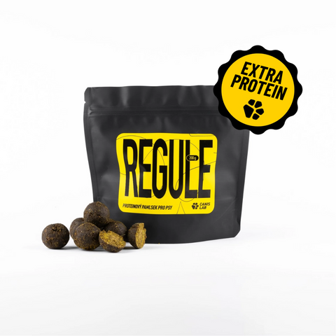 REGULE | Protein-Leckerbissen für Hunde | 200 g