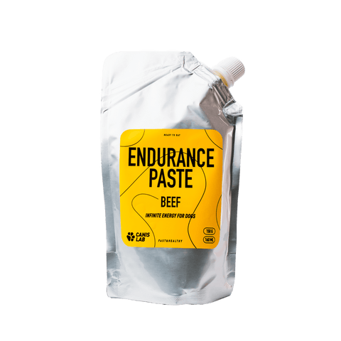 Adventure pack | Value Bundle
