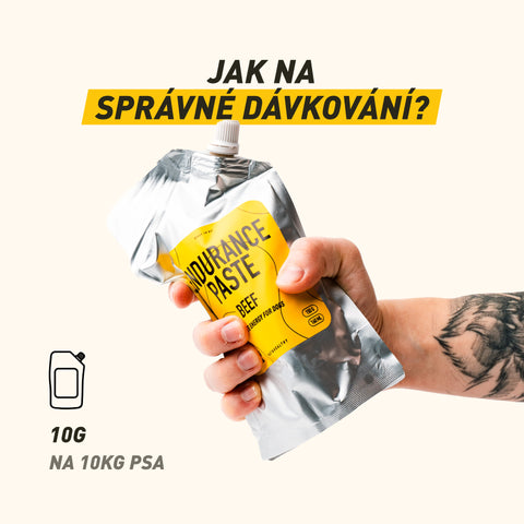 Endurance Paste | Endlose Energie für Hunde