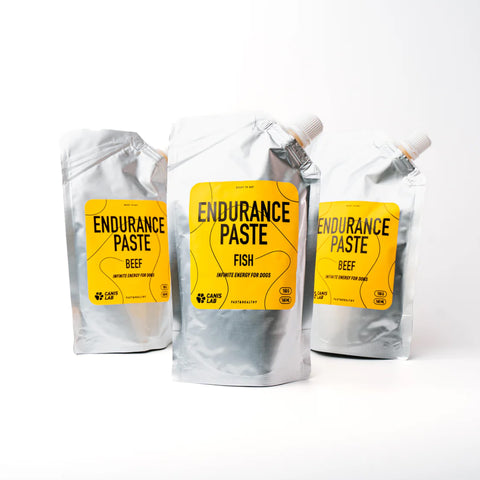 Endurance Paste | Endlose Energie für Hunde