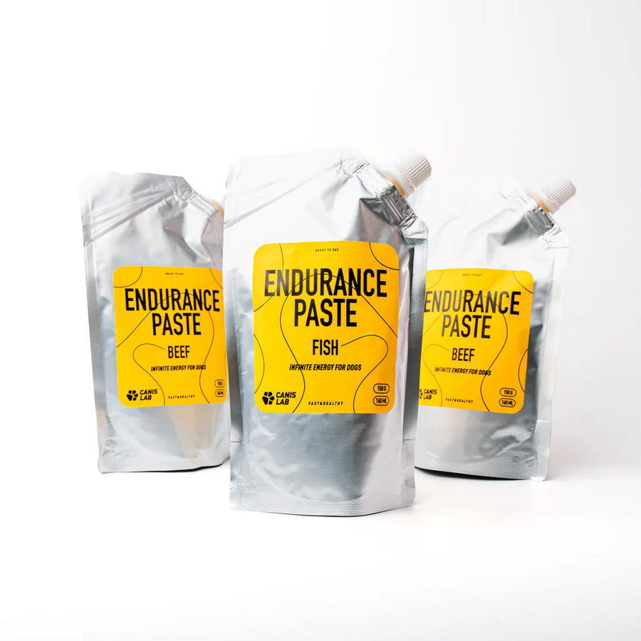 Endurance Paste | Endless energy for dogs