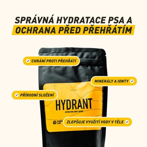 Hydrant | Hydrating Ionic Drink for Dogs | 200 g
