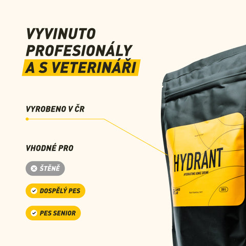 Hydrant | Hydrating Ionic Drink for Dogs | 200 g