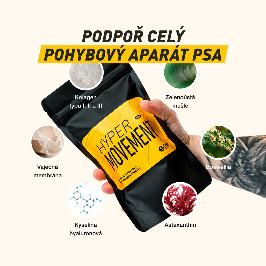 Healthy Joints & Bones pack | Value Bundle