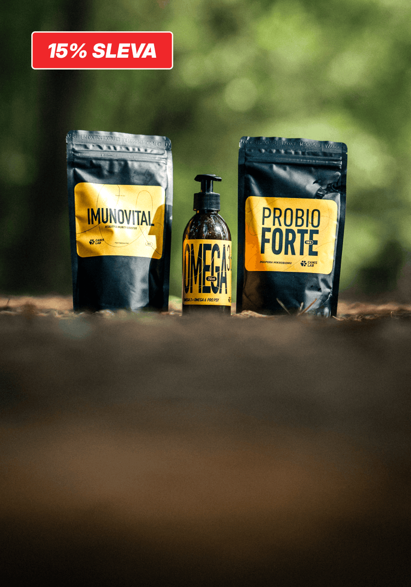 Changing weather? Time to support your dog’s immune system.