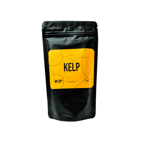 Kelp für Hunde | 200 g