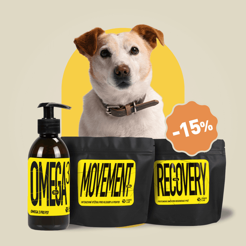 Balíček pro zdravé klouby a kosti | Výhodné balení