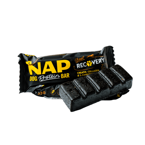 Proteinriegel für Hunde NAP | Recovery