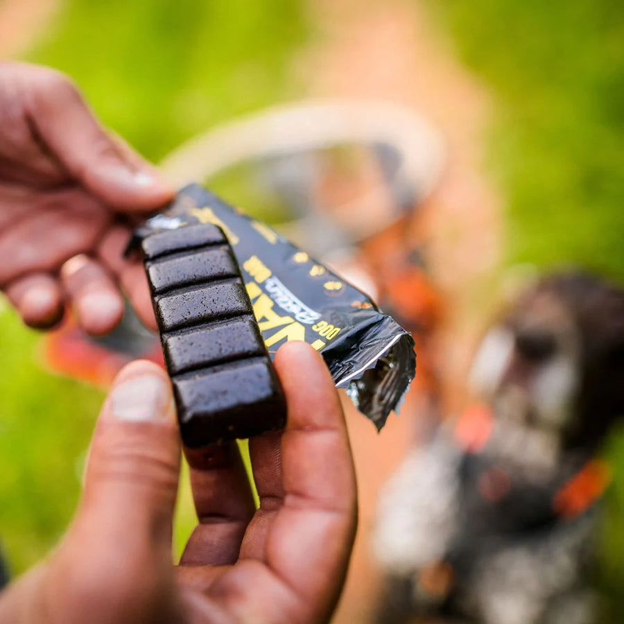 Protein bar for dogs NAP | Recovery