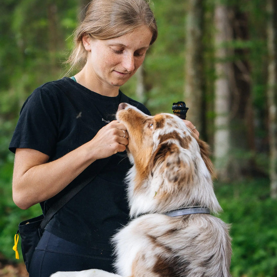 Protein bar for dogs NAP | Recovery