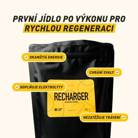 Recharger | Energy and Nutrient Porridge for Dogs | 600 g
