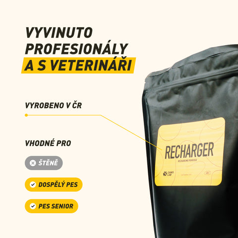 Recharger | Energy and Nutrient Porridge for Dogs | 600 g