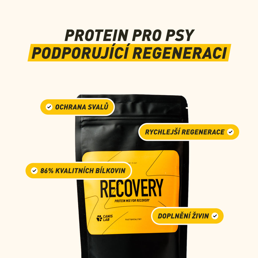 Recovery | Protein Mixture For Dogs´ Recovery