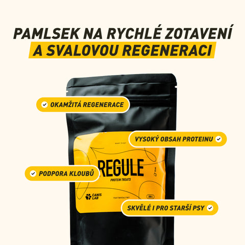 REGULE | Protein Treat For Dogs | 200 g