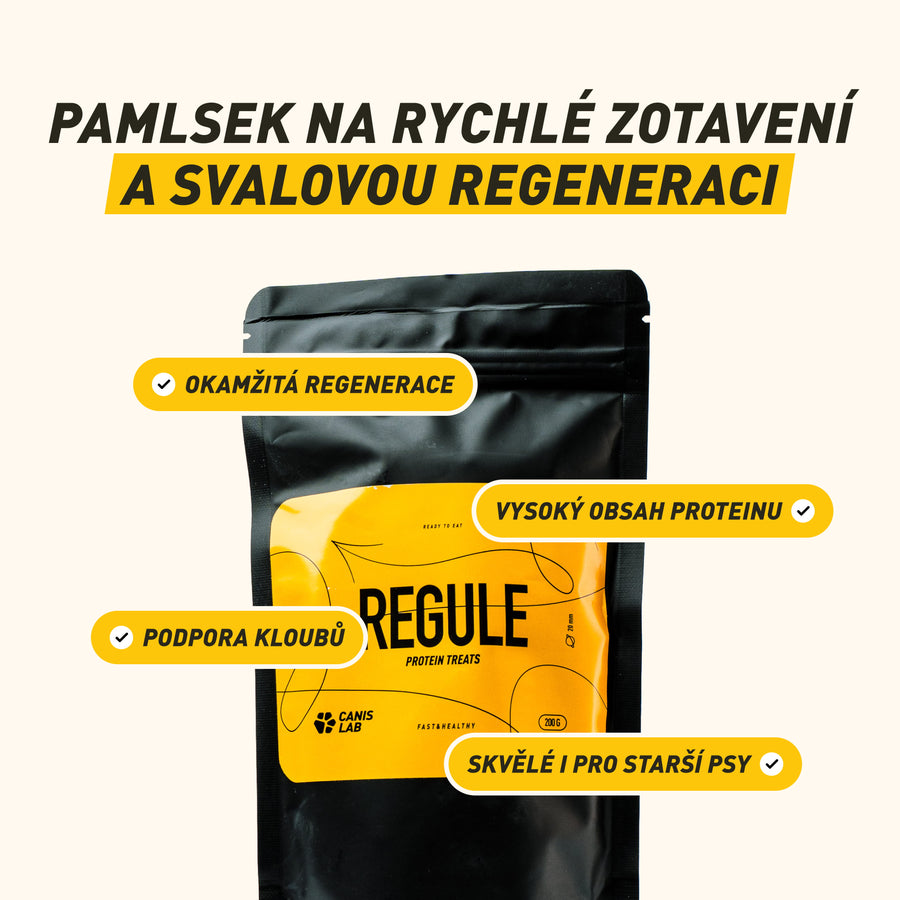 REGULE | Protein Treat For Dogs | 200 g