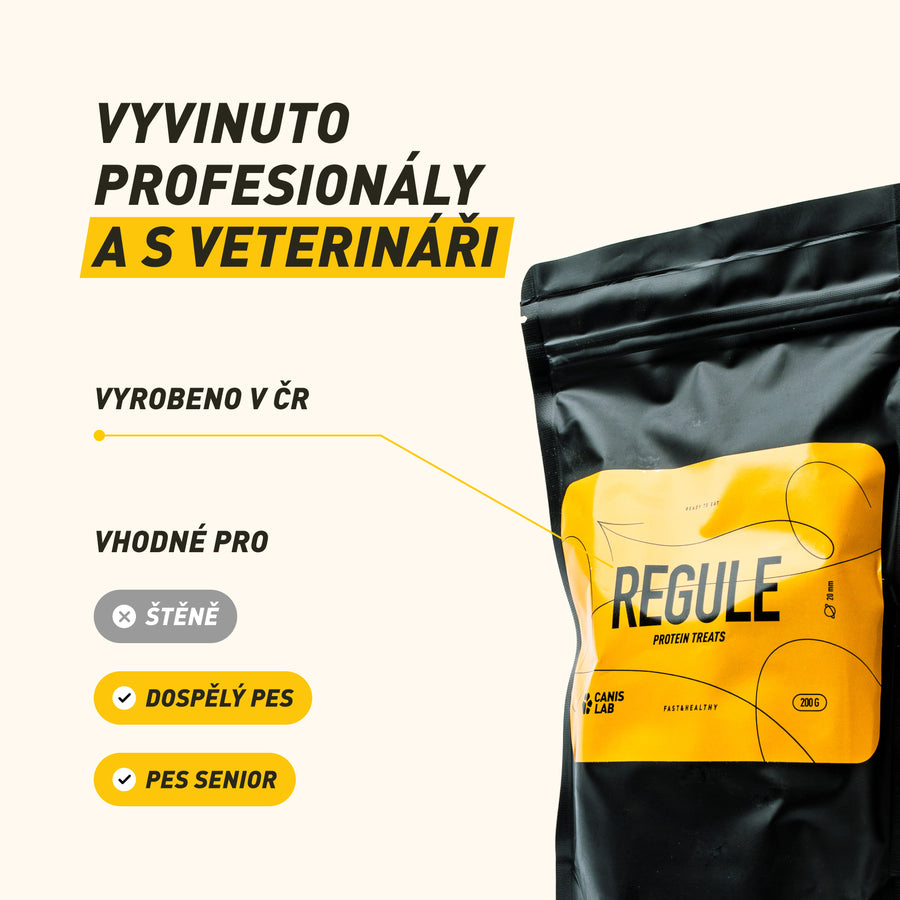 REGULE | Protein Treat For Dogs | 200 g