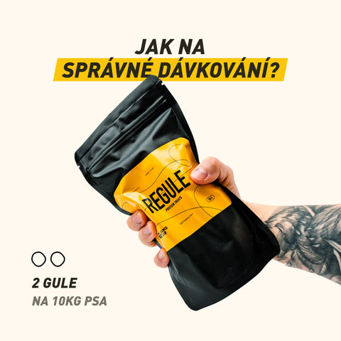 REGULE | Protein Treat For Dogs | 200 g